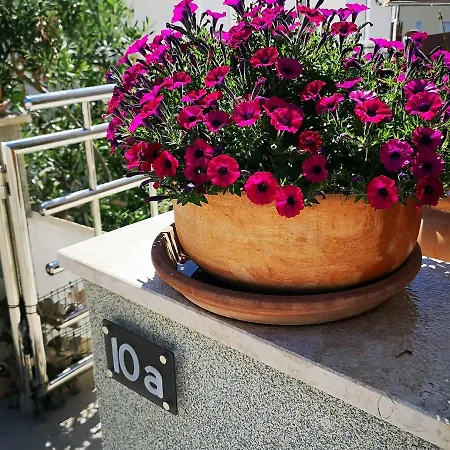 Argola *